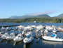 Island West Resort: Image