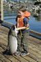 Island West Resort: Image