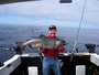 Island West Resort: Image